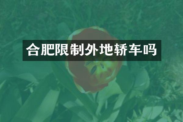 合肥限制外地轿车吗