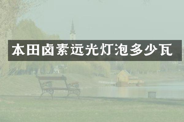 本田卤素远光灯泡多少瓦