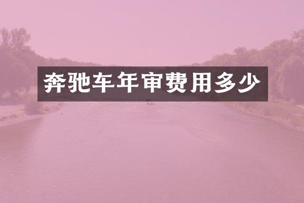 奔驰车年审费用多少