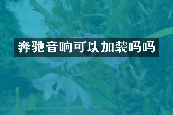 奔驰音响可以加装吗吗