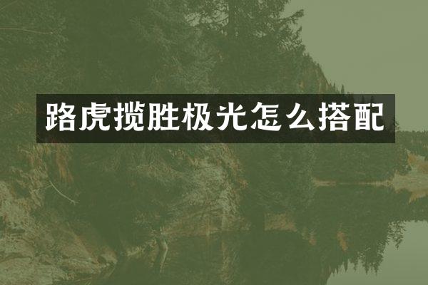 路虎揽胜极光怎么搭配