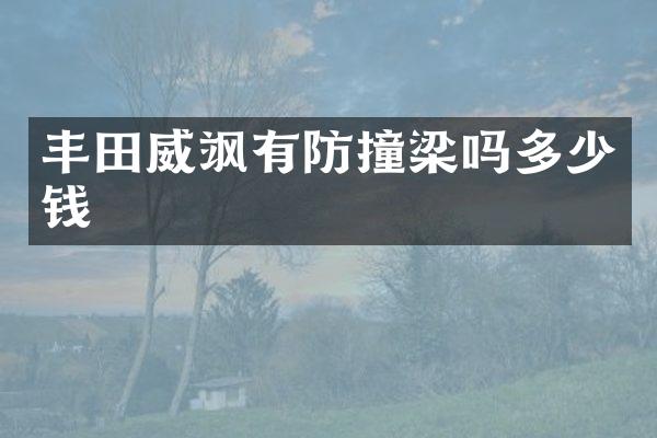 丰田威飒有防撞梁吗多少钱
