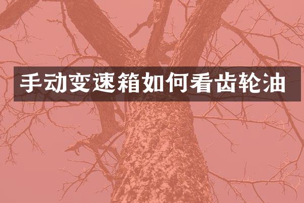 手动变速箱如何看齿轮油