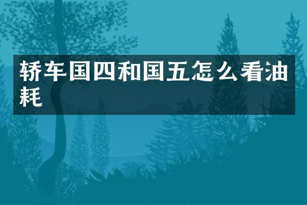 轿车国四和国五怎么看油耗