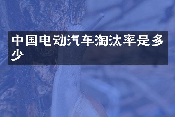 中国电动汽车淘汰率是多少