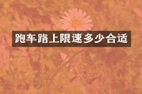 跑车路上限速多少合适