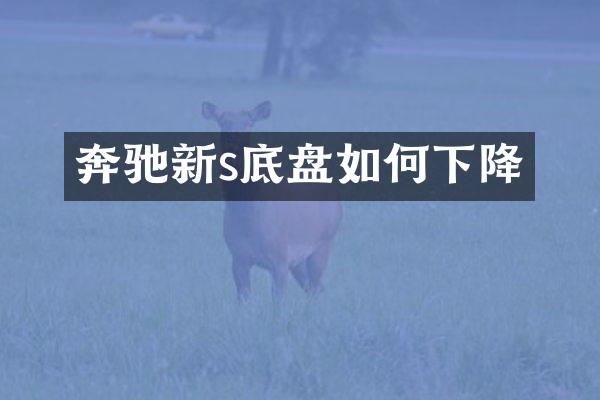 奔驰新s底盘如何下降
