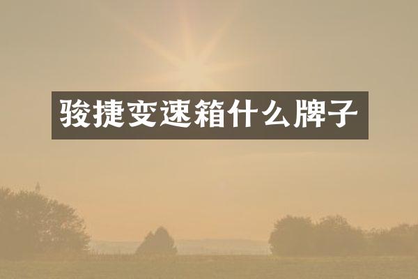 骏捷变速箱什么牌子