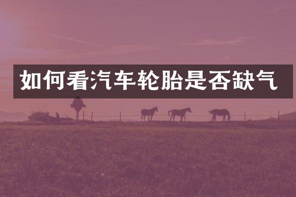 如何看汽车轮胎是否缺气