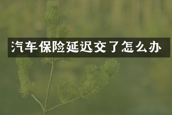 汽车保险延迟交了怎么办