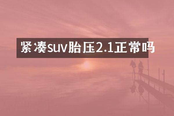 紧凑suv胎压2.1正常吗