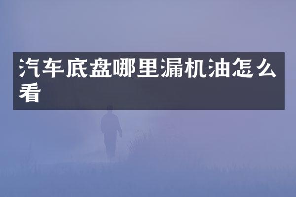 汽车底盘哪里漏机油怎么看