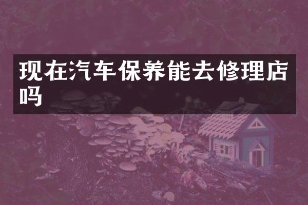 现在汽车保养能去修理店吗