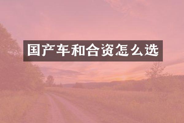 国产车和合资怎么选