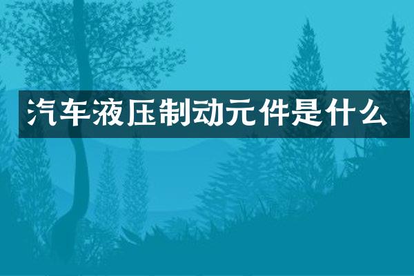 汽车液压制动元件是什么