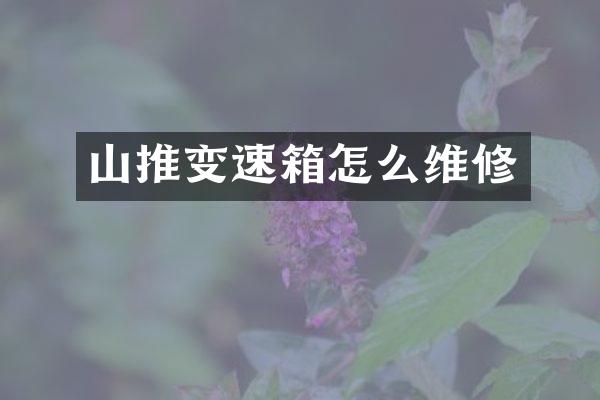 山推变速箱怎么维修