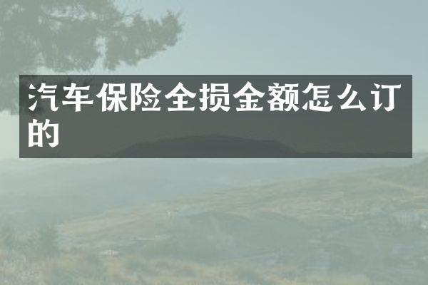 汽车保险全损金额怎么订的