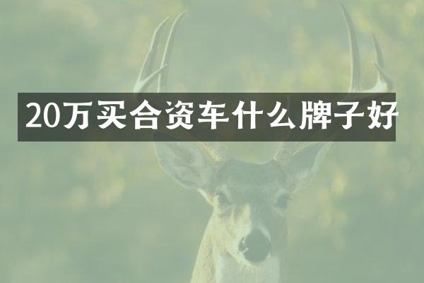 20万买合资车什么牌子好