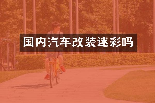 国内汽车改装迷彩吗