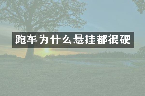 跑车为什么悬挂都很硬