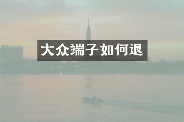 大众端子如何退