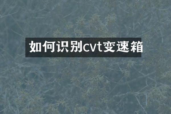 如何识别cvt变速箱