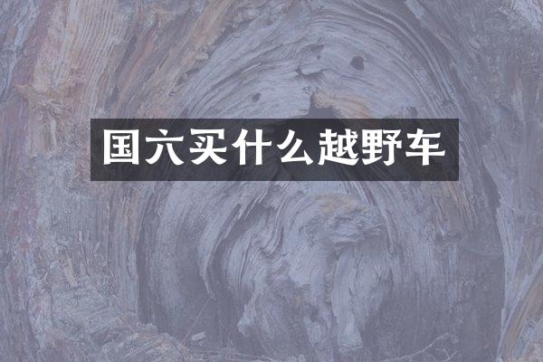 国六越野车