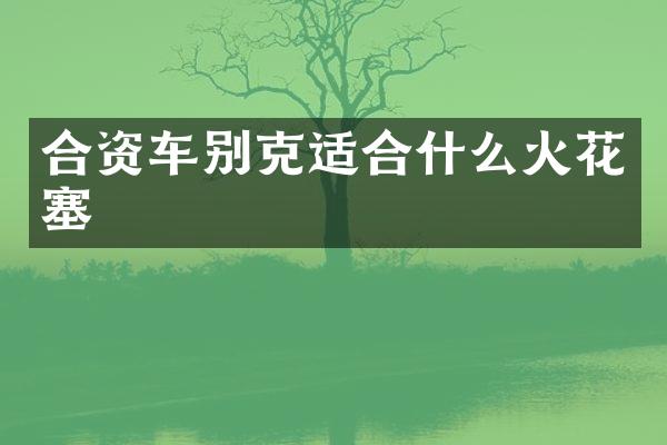 合资车别克适合什么火花塞