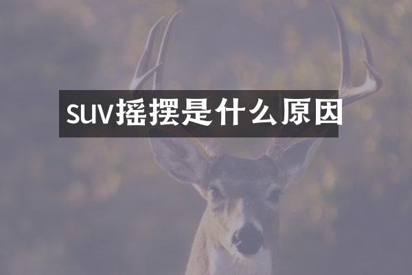 suv摇摆是什么原因