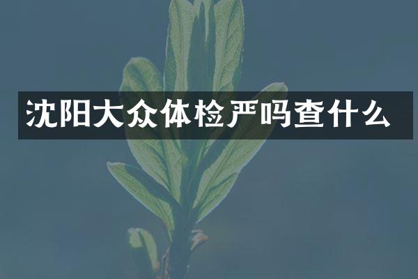 沈阳大众体检严吗查什么
