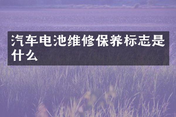 汽车电池维修保养标志是什么