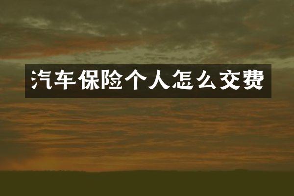 汽车保险个人怎么交费