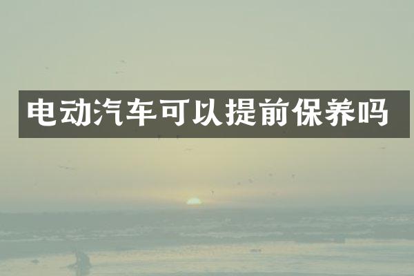 电动汽车可以提前保养吗