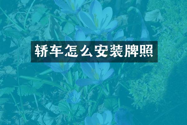 轿车怎么安装牌照