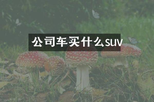 公司车suv
