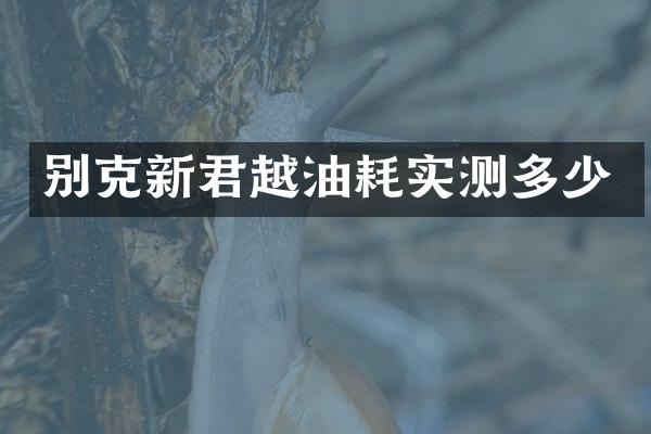 别克新君越油耗实测多少