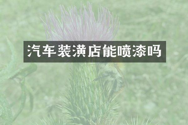 汽车装潢店能喷漆吗