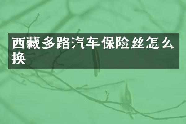 西藏多路汽车保险丝怎么换