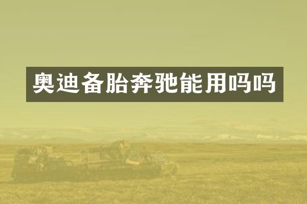 奥迪备胎奔驰能用吗吗