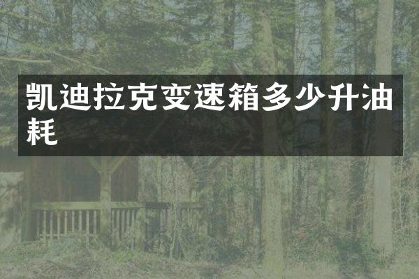 凯迪拉克变速箱多少升油耗