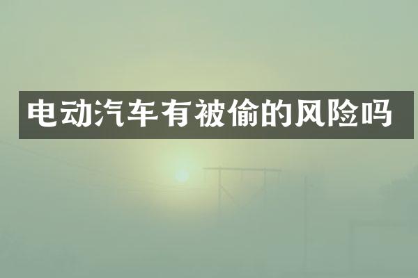 电动汽车有被偷的风险吗