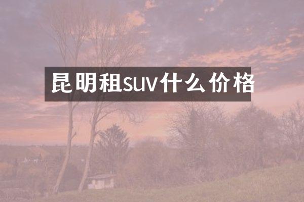 昆明租suv什么价格