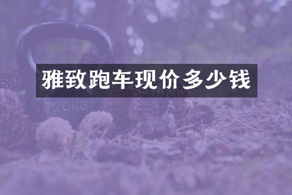 雅致跑车现价多少钱