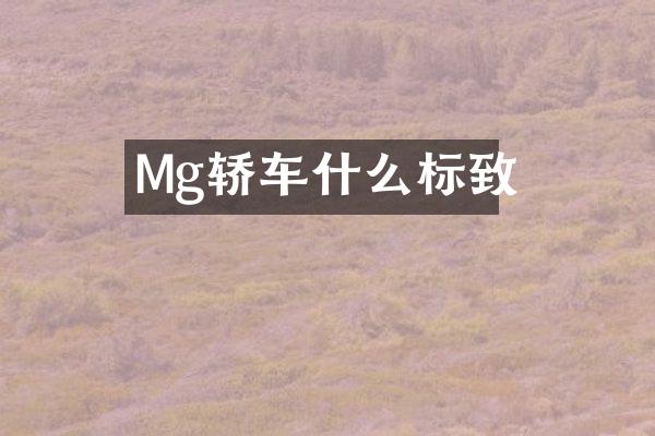 Mg轿车什么标致