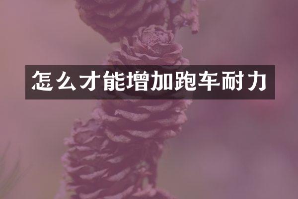 怎么才能增加跑车耐力