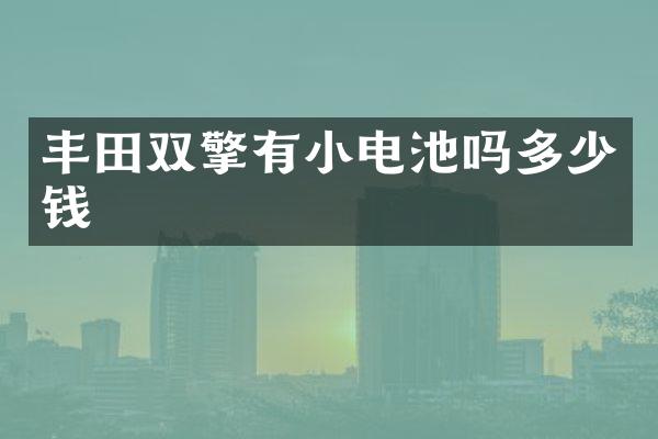 丰田双擎有小电池吗多少钱