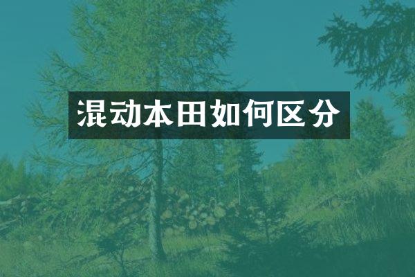 混动本田如何区分