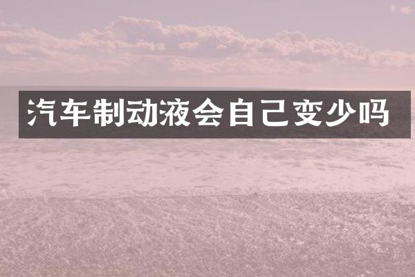 汽车制动液会自己变少吗