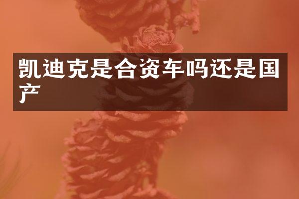凯迪克是合资车吗还是国产