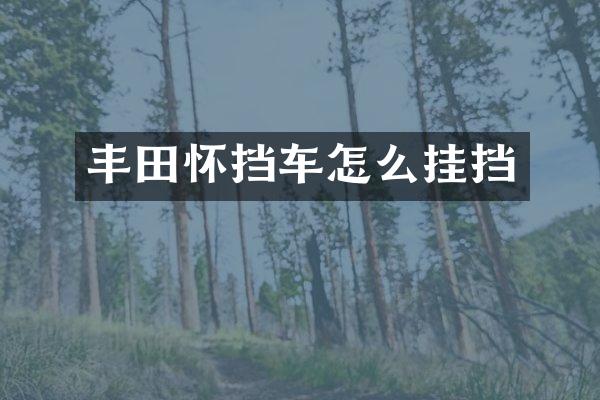 丰田怀挡车怎么挂挡